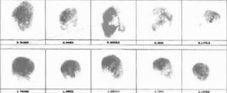 fingerprints as identification